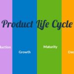 Product Life Cycle